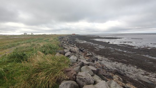 Côte sauvage d'Islande