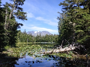 Bear Creek Alaska